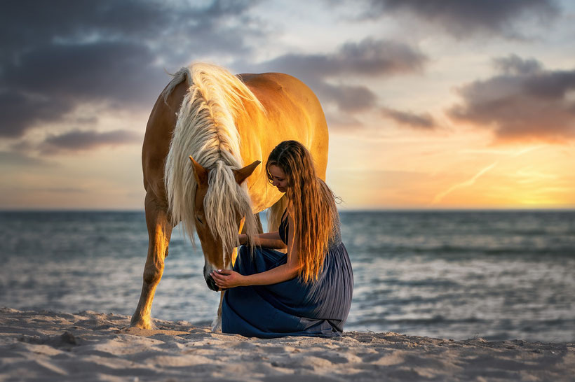 Pferdeshooting Renesse
