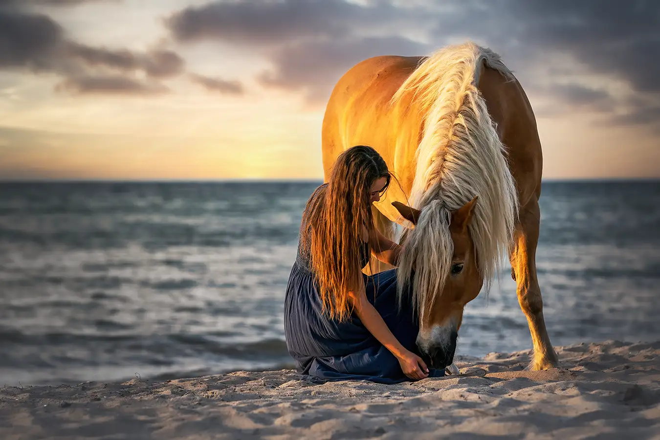 fotoshooting mit pferd in renesse im Sonnenuntergang