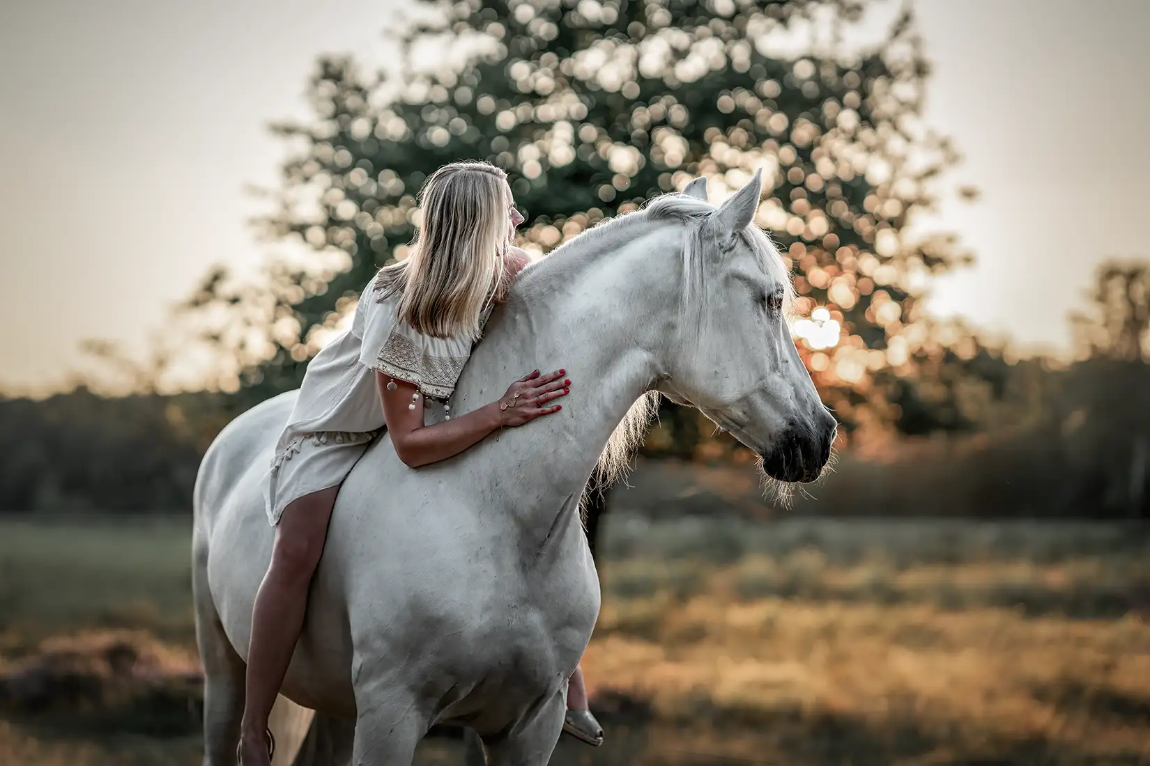 Frau reitet auf einem Schimmel