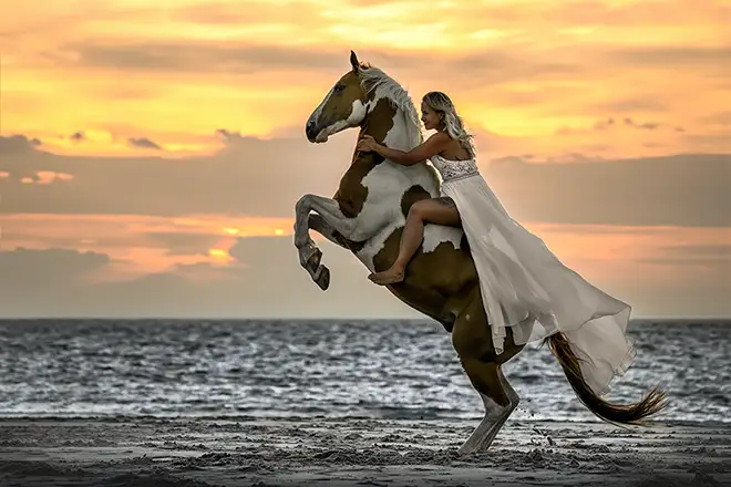 steigendes pferd beim Fotoshooting in zeeland