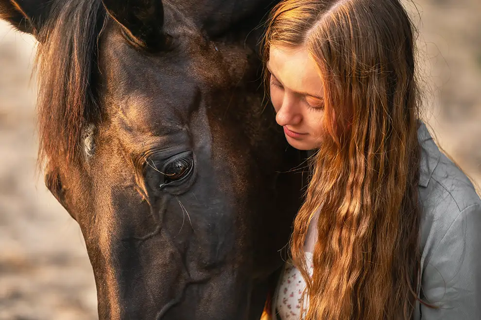 Warmblut mit Mädchen in Mönchengladbach